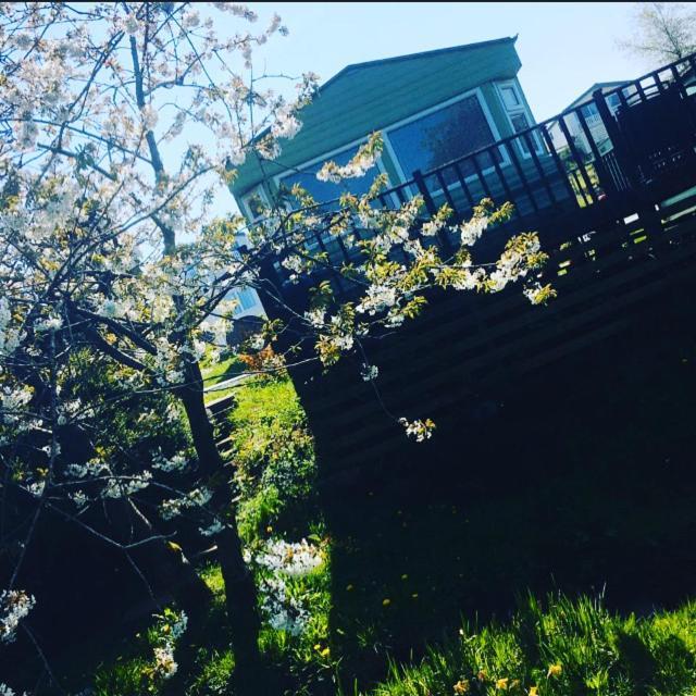 Delightful 3 Bedroom Holiday Home With Balcony Overlooking Fields And A Stream Gisburn Exteriör bild