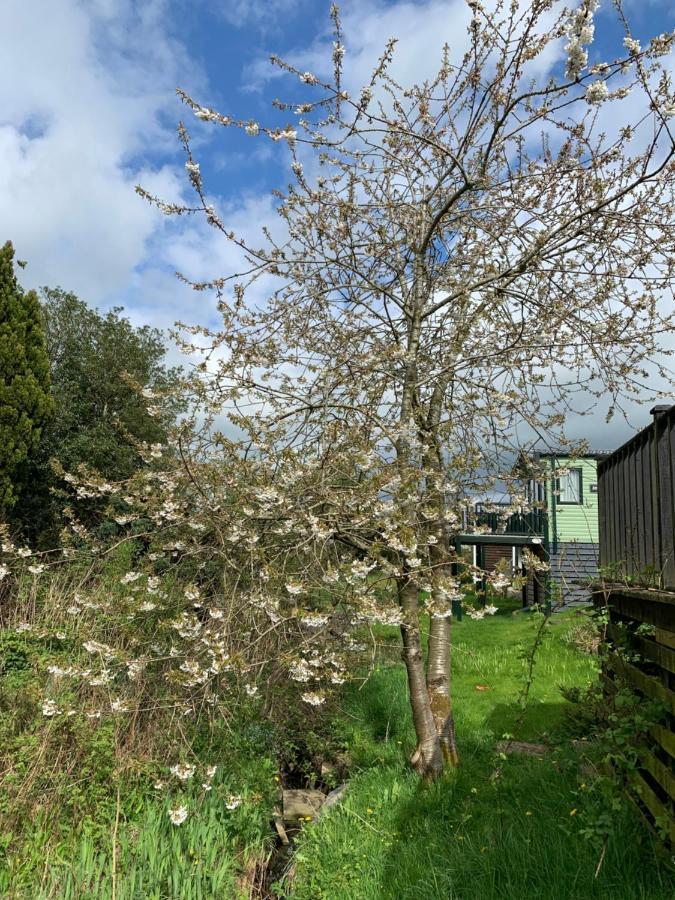 Delightful 3 Bedroom Holiday Home With Balcony Overlooking Fields And A Stream Gisburn Exteriör bild